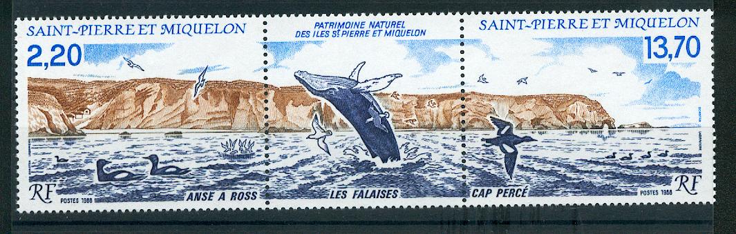 Saint Pierre et Miquelon 495 A triptyque 1988 Mammifères Marins neuf **TB MNH sin charnela Cote 9.2