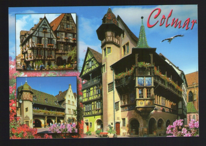 Carte Postale Postcard Postal Cigognes COLMAR Alsace FRANCE
