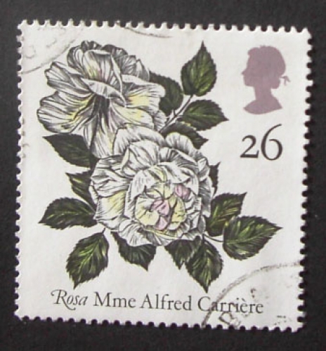 GB 1991 Roses 26p YT 1552 / SG 1536