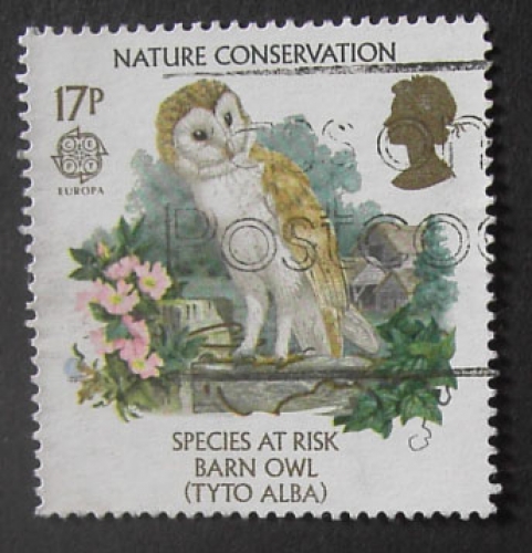 GB 1986 Nature conservation 17p YT 1222 / SG 1313