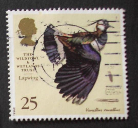 GB 1996 The Wildfowl & Wetlands Trust  25p YT 1862 / SG 1916