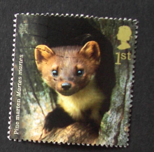 GB 2004 Woodland animals Pine Marten  YT 2578 / SG 2479