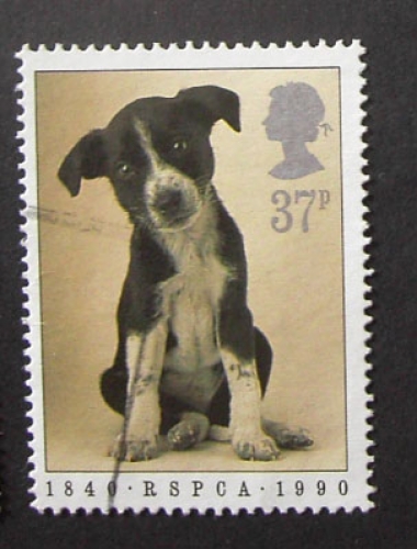 GB 1990 RSPCA  37p YT 1442 / SG 1481