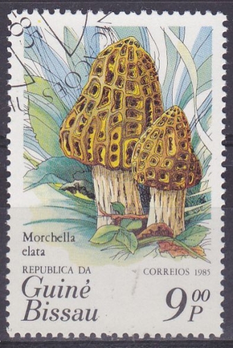Guinée-Bissau 1985 OBLITERE N° 345 champignon