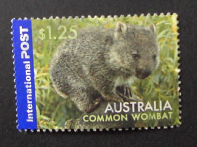  Australia 2006 wombat
