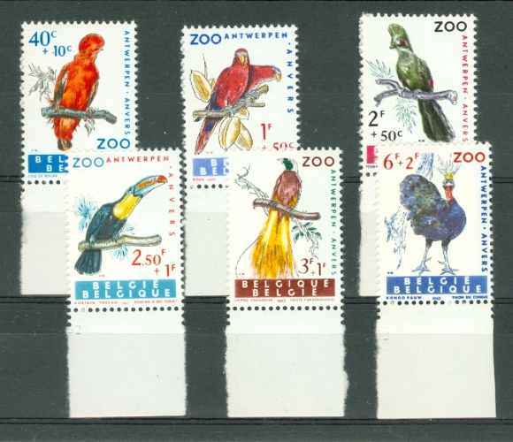 Belgique - 1962 - Zoo d'Anvers II - TP 1216 / 21 Neuf ** BDF