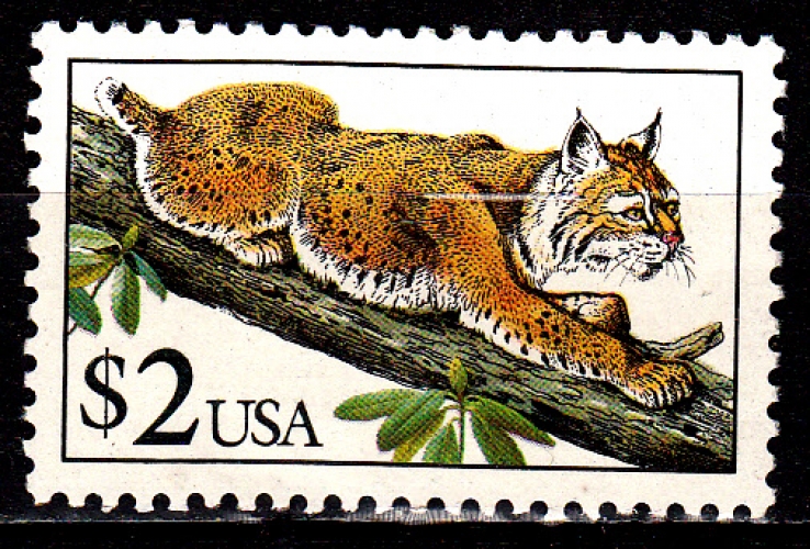  USA 1903 Lynx