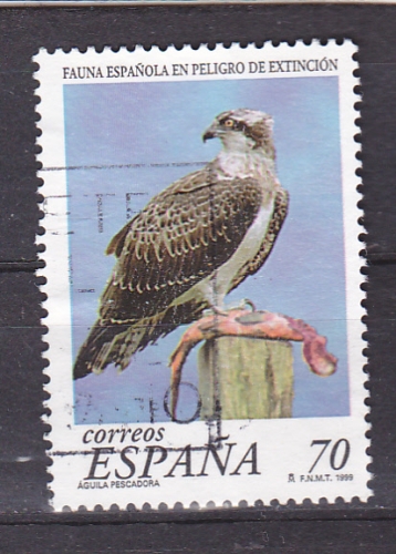 ESPAGNE  1999  Y&T n°  3185  Faune espagnole en voie d'extinction