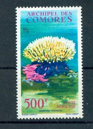 Comores PA  6 1962 corail neufs avec trace de charnière * TB MH con charnela cote 30 