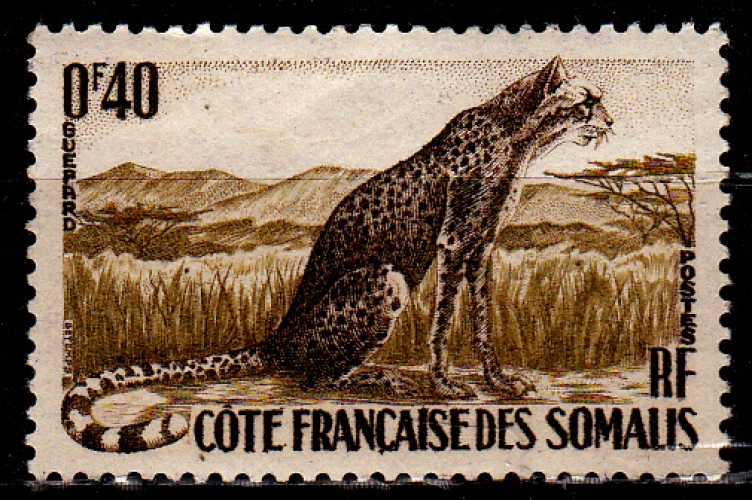 Côte des Somalis 288 ( Hors série ) Faune / Seul timbre félins / Guépard