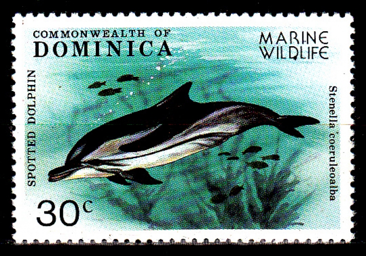  Dominique 604 ( Hors série ) Protection de la faune marine / Seul timbre dauphin