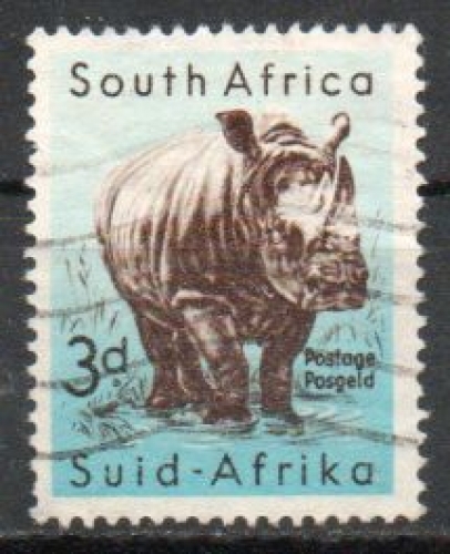 Afrique du Sud-Ouest Yvert N°205 Oblitéré 1954 Rhinocéros 