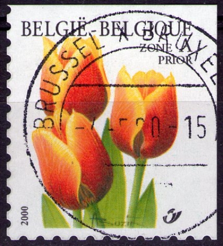 Belgique - Y&T 2876 A - Tulipe - Série courante