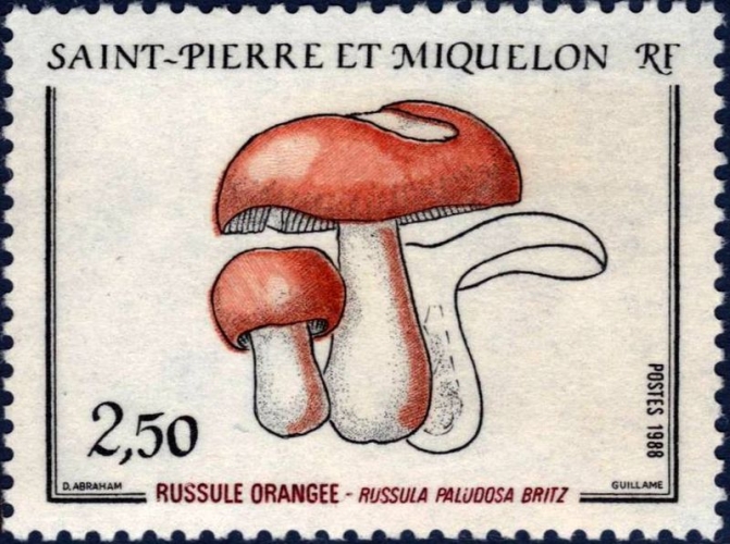 Saint-Pierre et Miquelon 1988 Champignons - Russule orangée