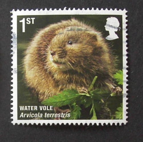 GB 2010 Mammals Water vole  YT 3325