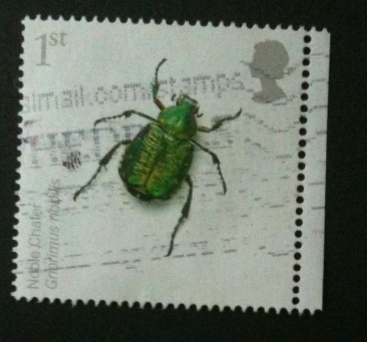 GB 2008 INSECTS 1st Silver-spotted Skipper   YT 3016