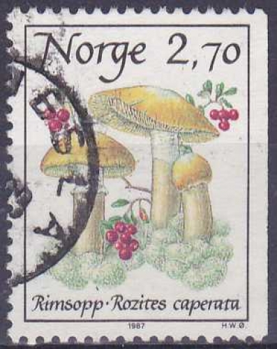 NORVEGE 1987 oblitéré N° 925 champignons