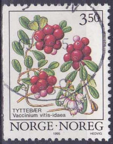 NORVEGE 1995 oblitéré N° 1129
