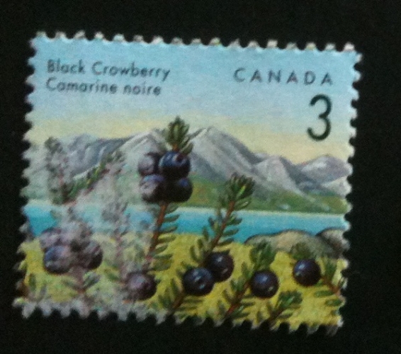 Canada 1992 YT 1264