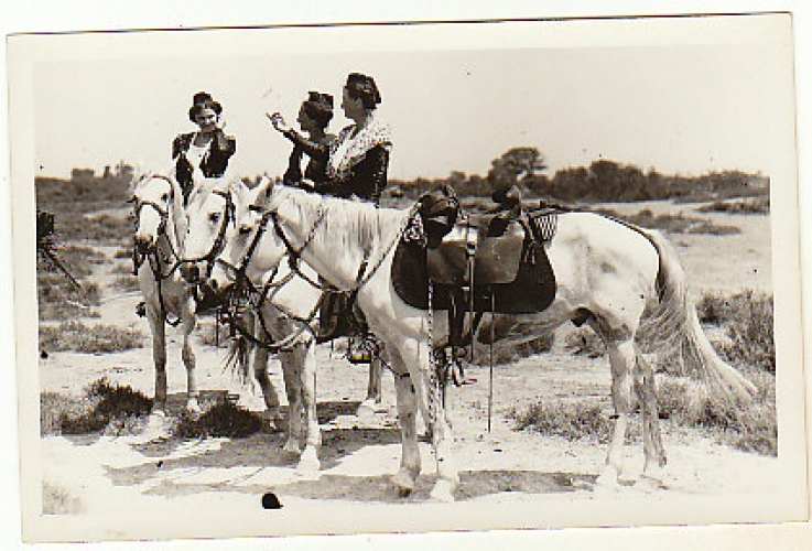  cpsm  13 Folklore Provençal  chevaux , Arlésiennes  Photo Georges