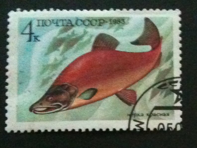 URSS 1983 YT 5017
