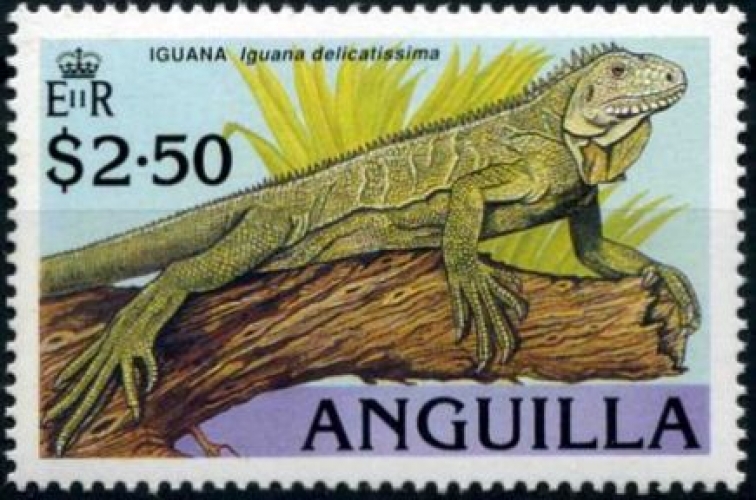 Anguilla 1989 L´iguane des Petites Antilles (Iguana delicatissima) YT 728 **