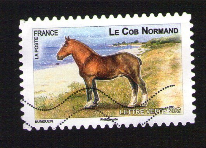 FRANCE 2013 Oblitéré Used Stamp Cheval Horse Le Cob Normand Y&T 814