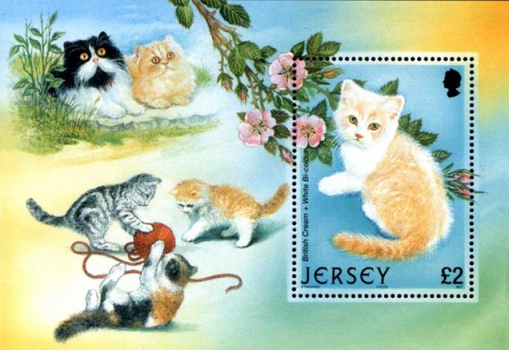 Jersey 2002 Chats - Y&T BF 43 **