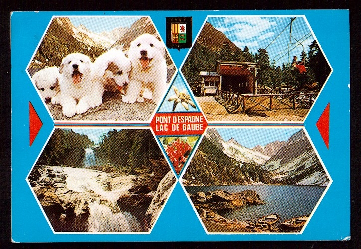 Andorre Carte Postale Cpm Pont d' Espagne- Lac de Gaube Chiots des Pyrénées, téléphérique et Cascade