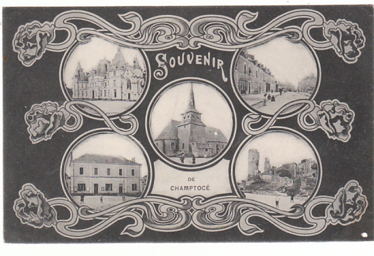 CPA SOUVENIR DE CHAMPTOCE (49) 