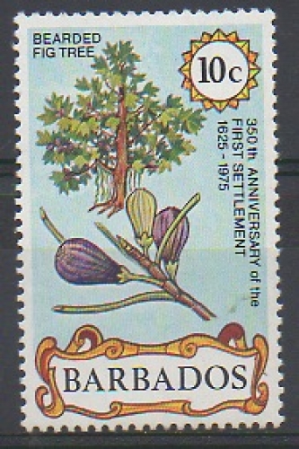 BARBADES 1975 - FIGUES