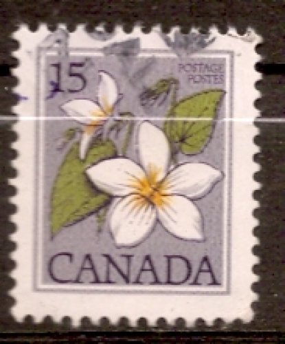 Canada 1979 YT 712 Obl Fleur sauvage Violette du canada