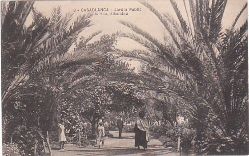 CPA CASABLANCA (MAROC) JARDIN PUBLIC - ANIMEE