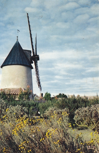 (85)-ILE DE NOIREMOUTIER Moulin de la Renarde -circulée-edit:THEOJAC n° 68