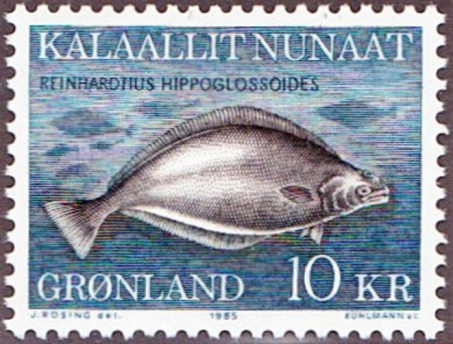 Groenland 1985 Le flétan du Groenland (Reinhardtius hippoglossoides)