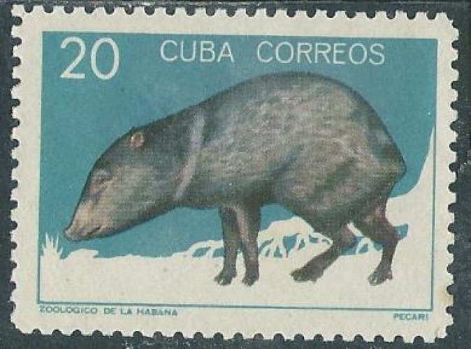 Cuba - Y&T 0778 (o) - Pécari -
