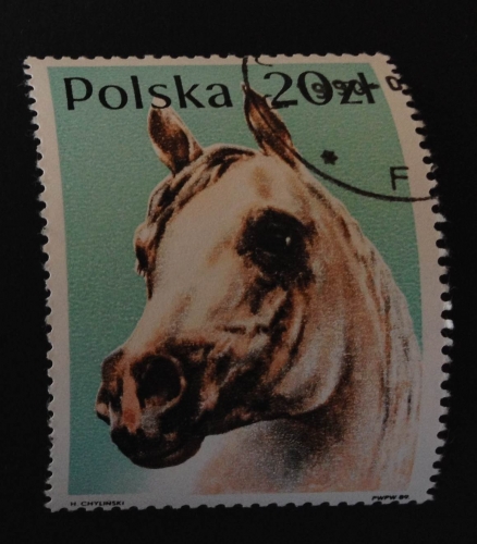 Pologne 1989 YT 2999