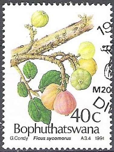   Bophuthatswana 1991 Michel 259 O Cote (2002) 1.20 Euro Figue Cachet rond