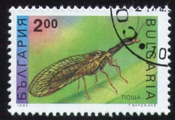 Bulgarie 1993 Oblitéré rond Used Stamp Insecte