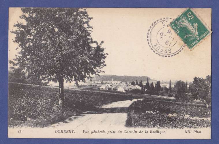 (88)  -DOMREMY  -CPA- vue generale prise du chemin de la basilique-  circulée en 1916