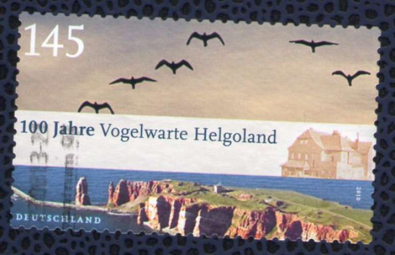 ALLEMAGNE Oblitéré Used Stamp 100 Jahre Vogelwarte Helgoland 145 2010
