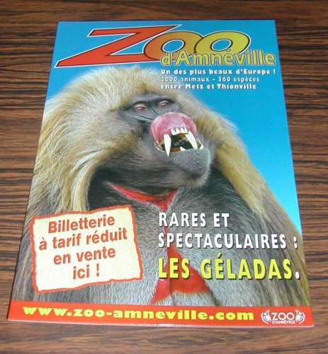 Publicité en carton avec chevalet Zoo d'Amnéville Les Lions Blancs