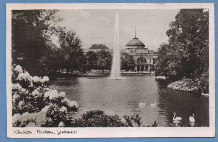 CPSM  WIESBADEN CYGNE ( Seitigen scan- ) 