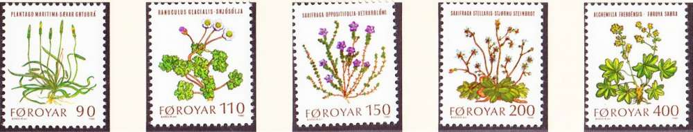 Féroé 1980 Plantes sauvages