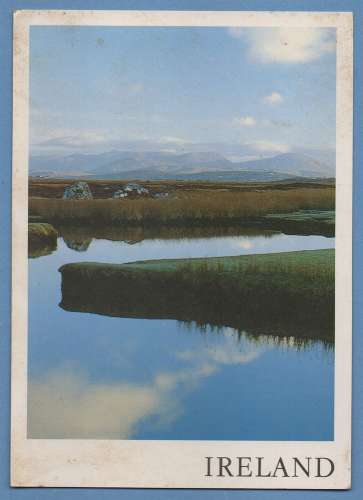 CPM Irlande Eire 1994 scan verso 