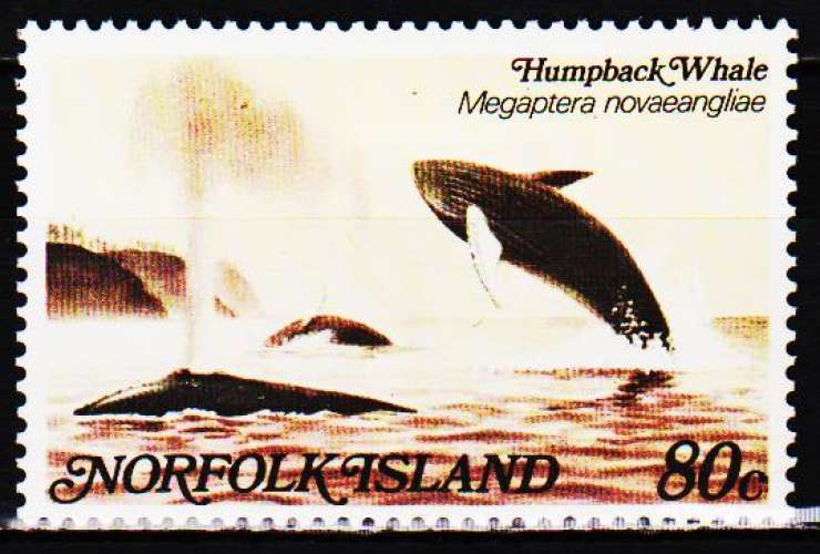  Norfolk 284 ( Hors série ) Faune marine / Baleine