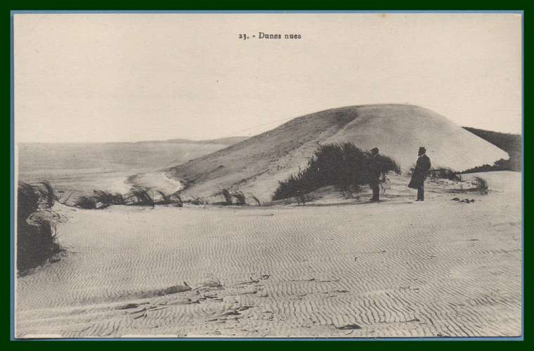 CPA Dunes nues animée non écrite TTB