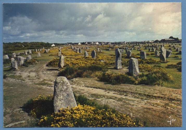 CPSM Carnac alignements du Menec au printemps La Bretagne en couleurs non écrite