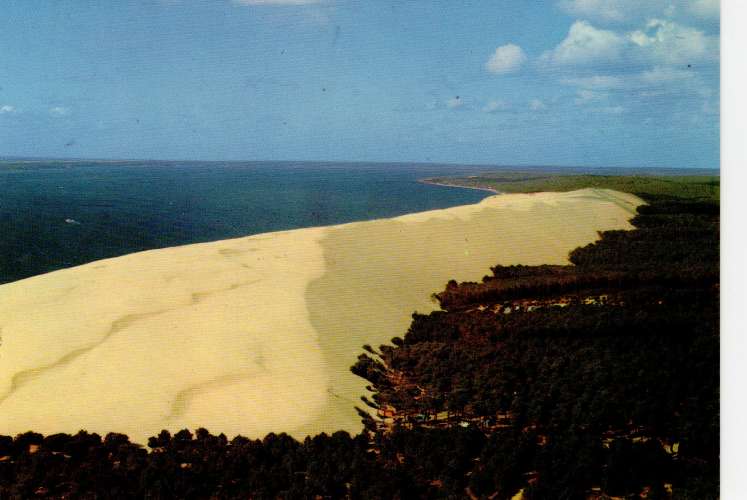 bassin d' Arcachon  la grande dune du Pyla