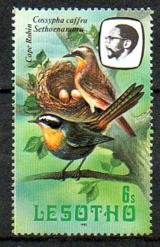 Lesotho Yvert N°523 Neuf 1982 Oiseau Cape robin